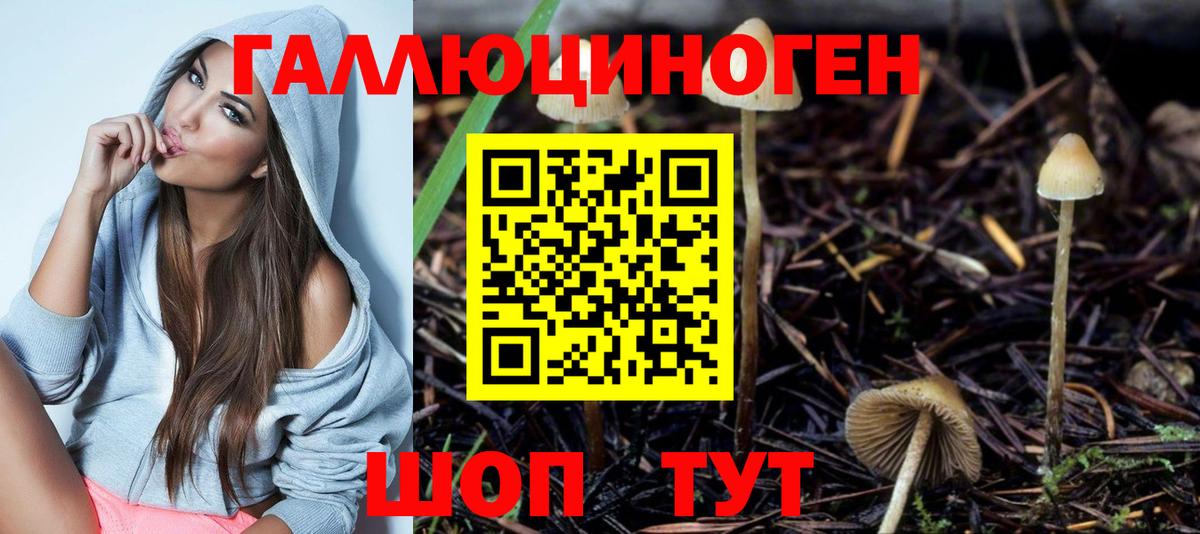 Галлюциногенные грибы мухоморы Ковров