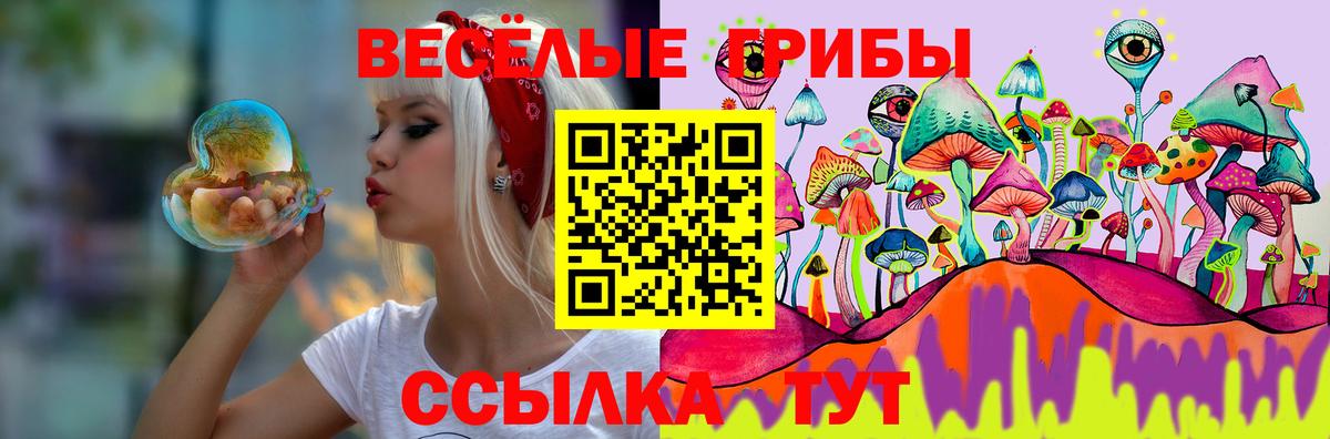 Ковров  Галлюциногенные грибы Psilocybine cubensis  Псилоцибиновые грибы мухоморы  Вход с VPN 